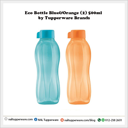 Eco Bottle 500ml
